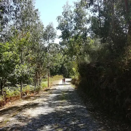 Casa Do Pereiro بيت للعطل