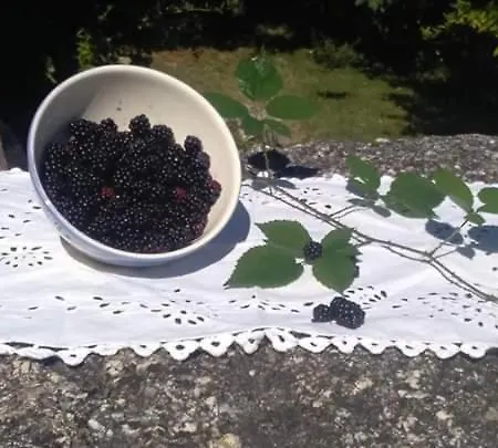 Casa Do Pereiro Nyaraló *