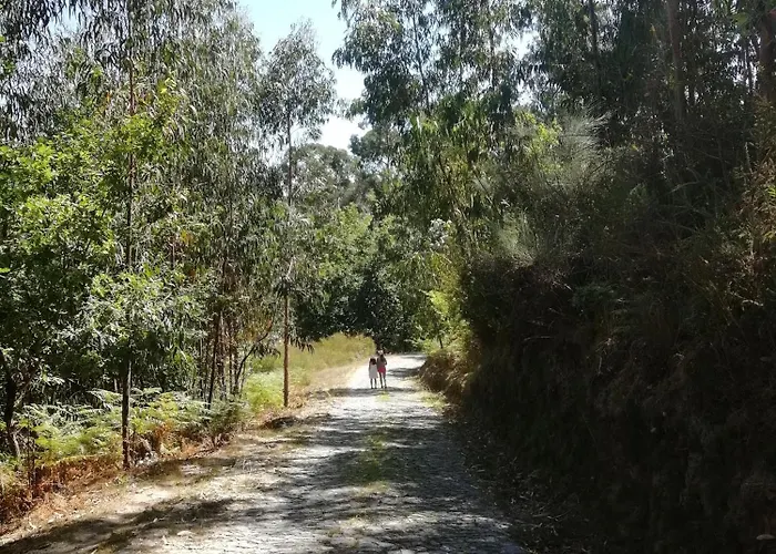 Casa Do Pereiro 펜션