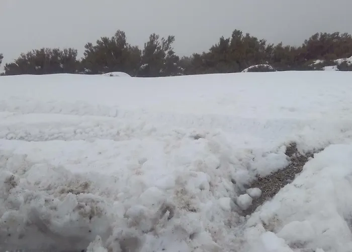 Hébergement de vacances Casa Do Pereiro