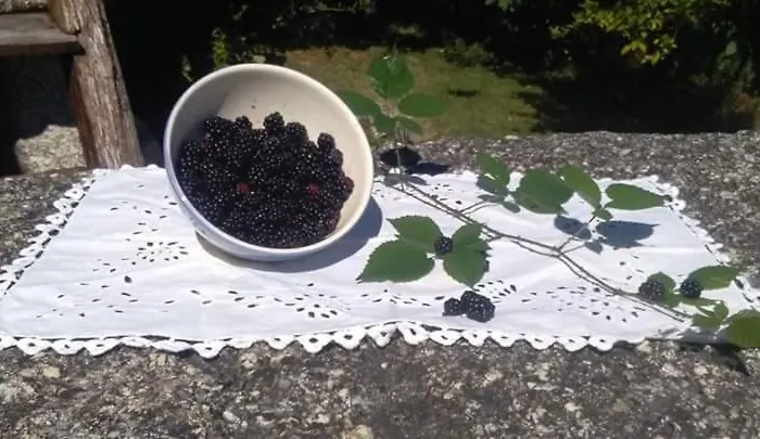 Casa Do Pereiro 펜션 *